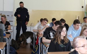 w pomieszczeniu budynku szkoły, w klasie uczniowskiej stoi jeden policjant obok niego dużu pies, który obwąchuje torbę. Przed nimi kilku siedzących za stolikami uczni