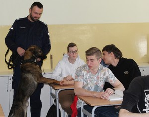 w klasie uczniowskiej stoi jeden umundurowany policjant, obok niego duży pies, który przednie łapy położone ma na stoliku uczniowskim, przed nimi grupa kilku siedzących uczni