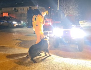 noc, na drodze widać oznakowany policyjny i strażacki radiowóz, strażak-kobieta na smyczy trzyma psa