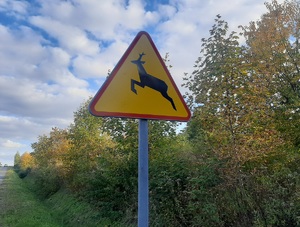 Znak uwaga dzikie zwierzęta.