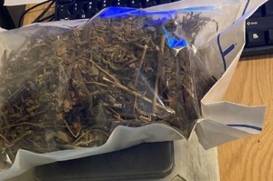 Marihuana zabezpieczona przez policjantów.