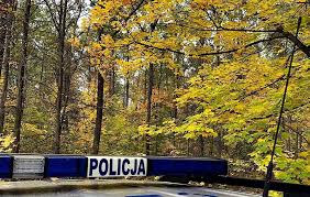 Zdjęcie przedstawia liście w kolorach jesiennych oraz w dolnej części górna część oznakowanego radiowozu z napisem policja.